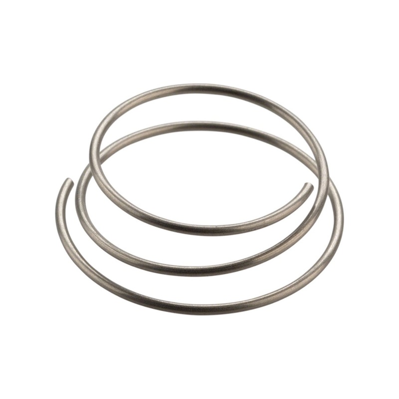 DT Swiss Star Ratchet Spring
